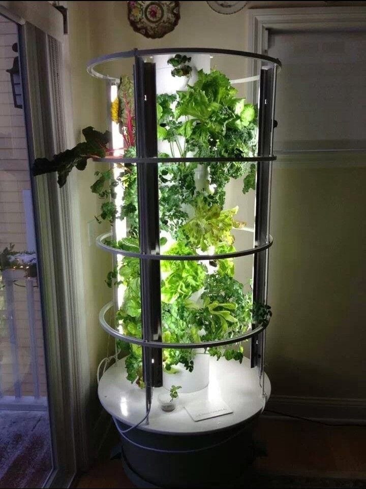 6 Top Hydroponic Tower Garden 2020 Reviews Growyour420