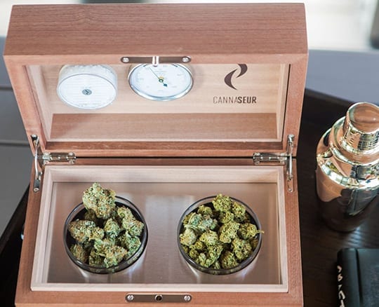 Cannabis humidor box