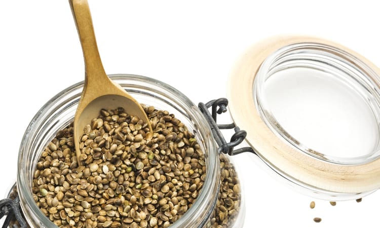 Cannabis seeds in a jar