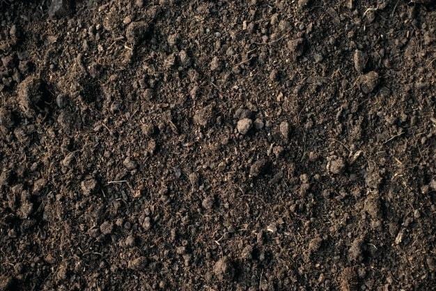 Loam Soil