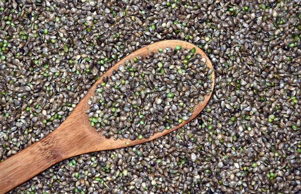 Storing cannabis seeds