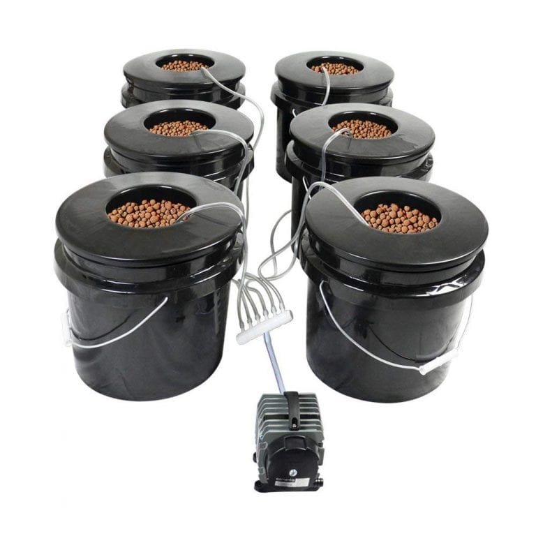 Best DWC Systems of 2020 Deep Water Culture GrowYour420