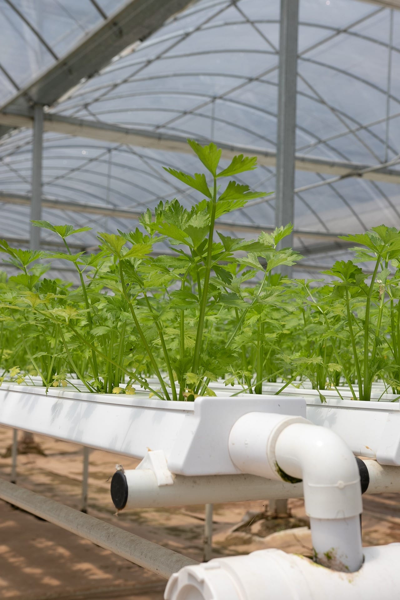Best Hydroponic Reservoirs 2020 Complete Guide GrowYour420