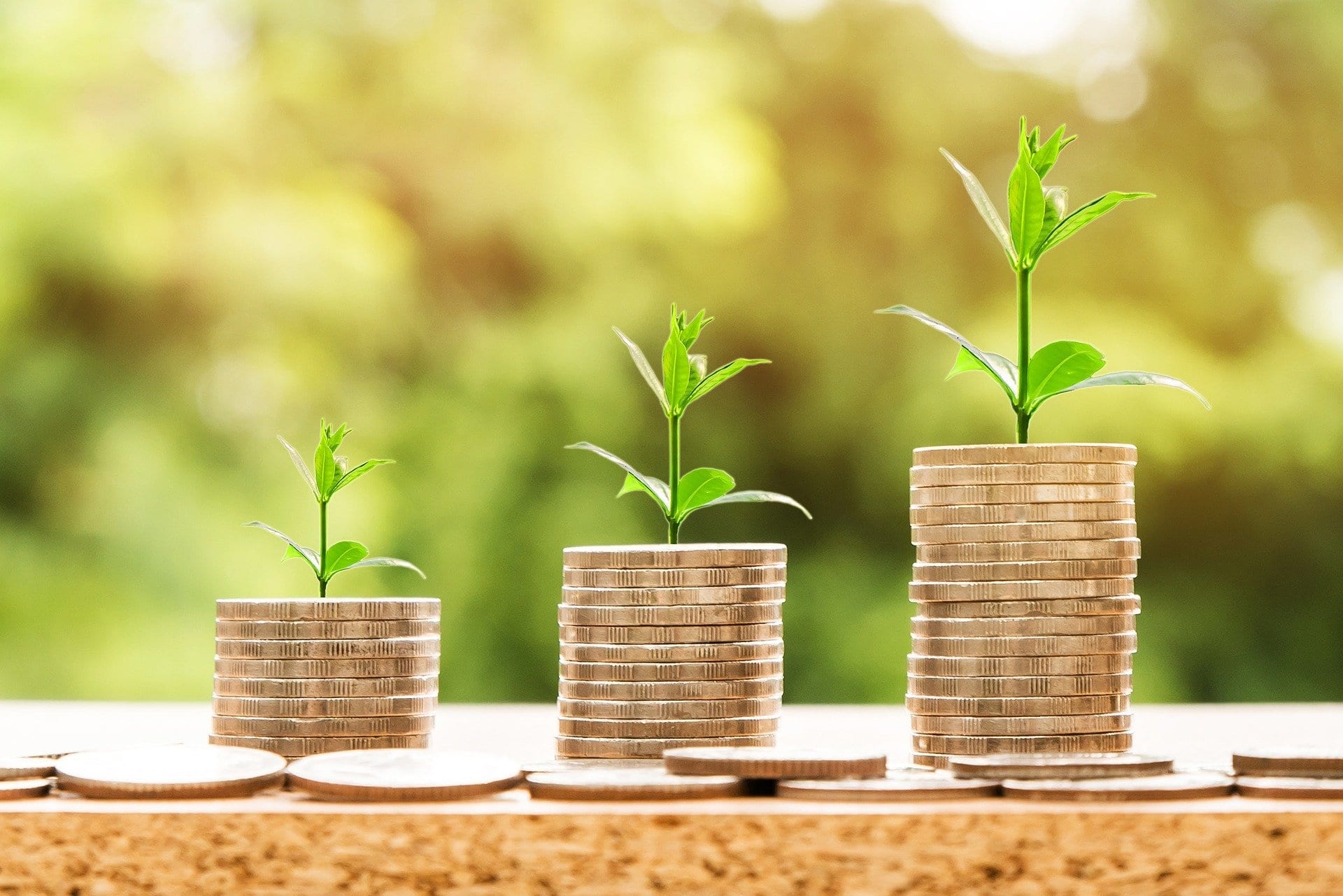 Cannabis Grower Salary | How much do weed farmers make?