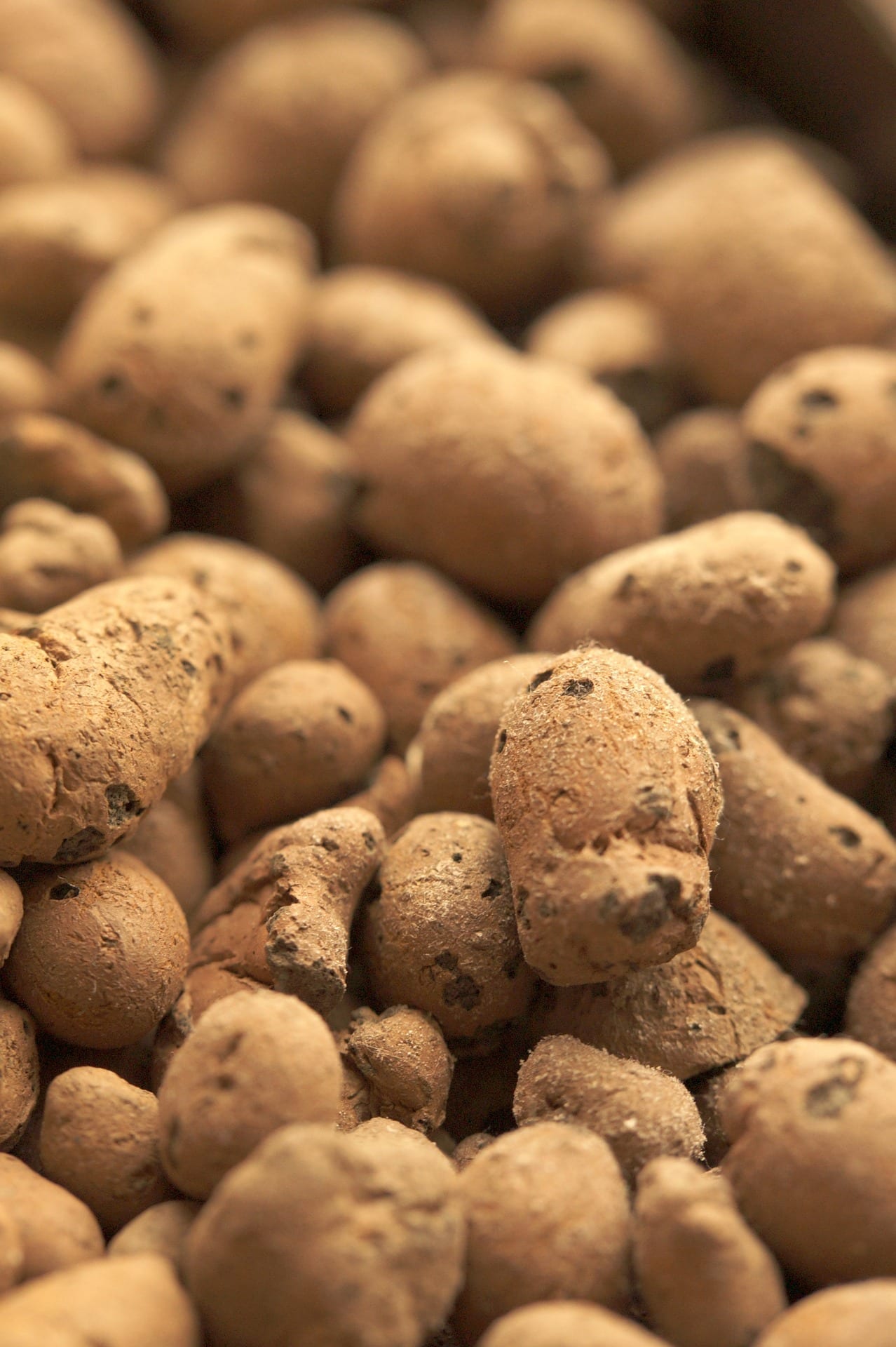 Hydroponic Clay Pebbles All You Need To Know GrowYour420