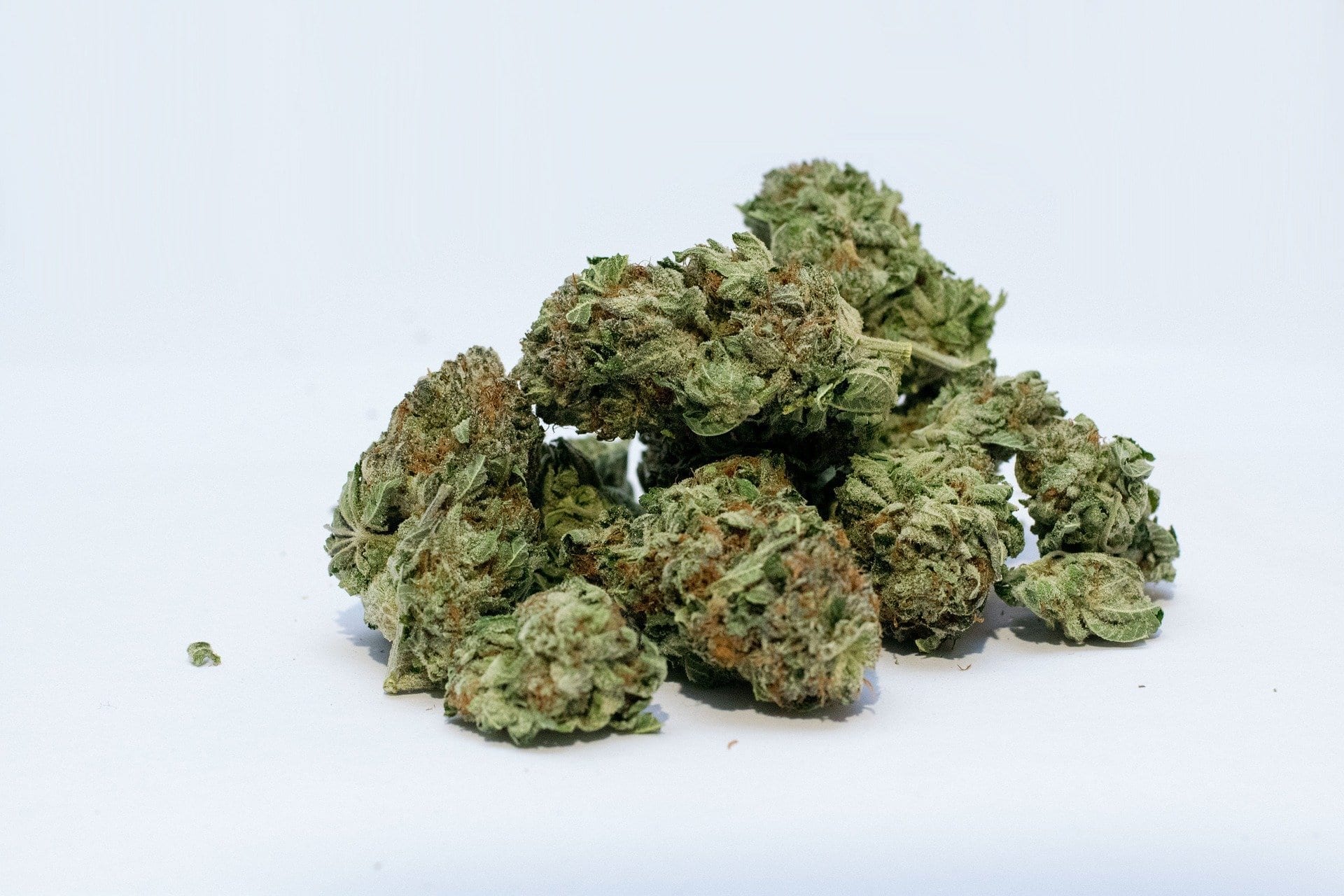 How to Grow Bigger Buds Outdoors? | Tips & Tricks