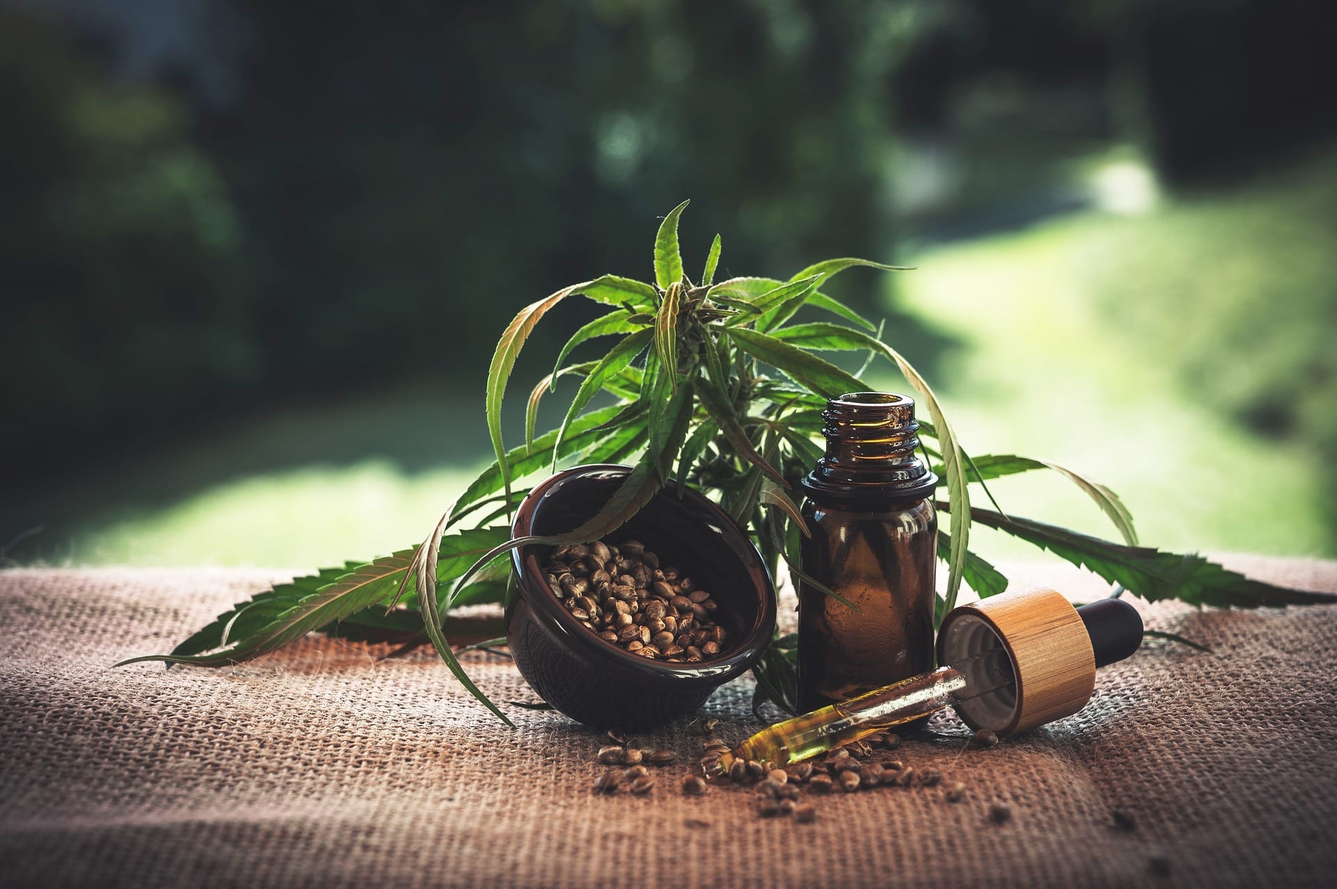 CBD vs. THC | What Is the Difference?