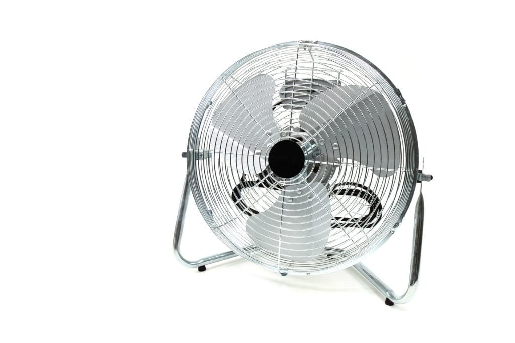 Fan 