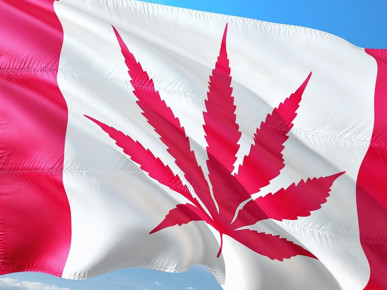 All info around applying for Canada's ACMPR License