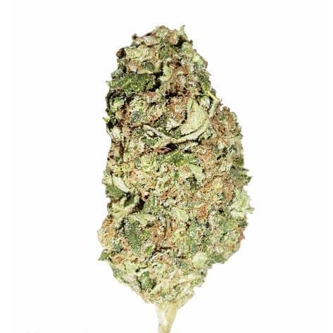 Sour Disel Feminized