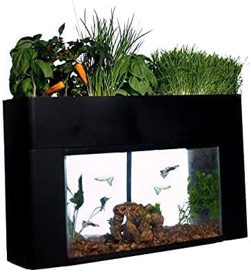 AquaSprouts Garden