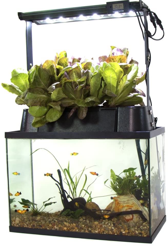 Ecolife ECO-Cycle Aquaponics