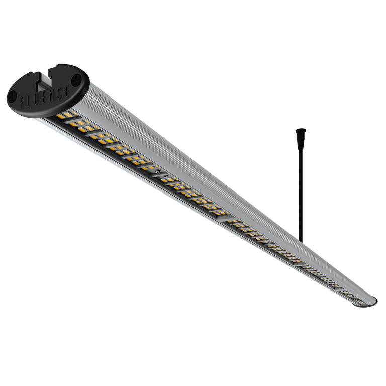 Fluence RAY44 LED Grow Light Review