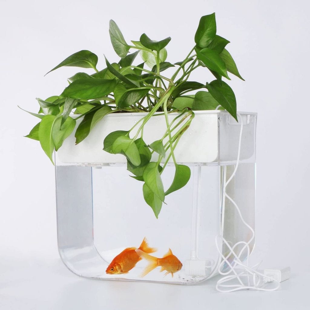 Joyfay Aquaponic Fish Tank