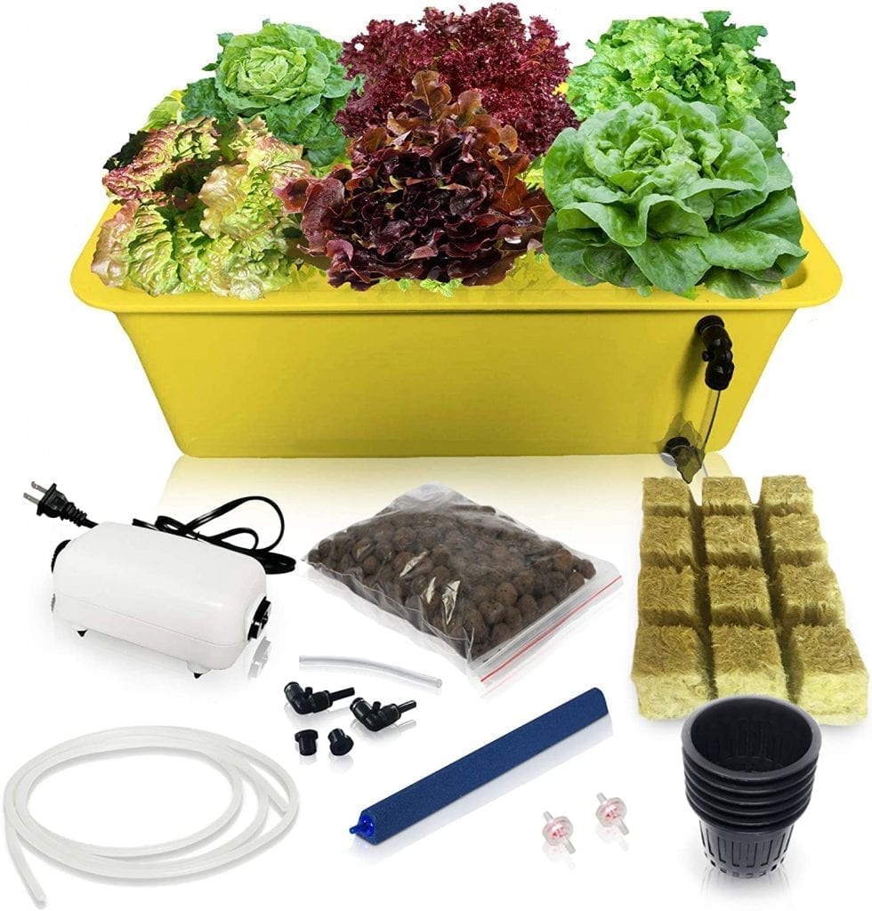 SavvyGrow DWC Hydroponic System Growing Kit