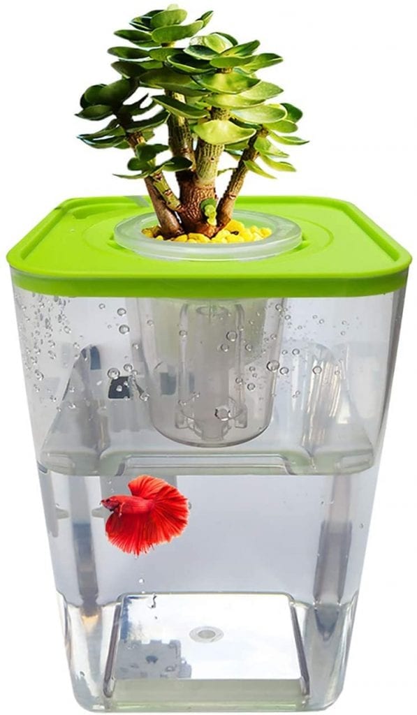 WAWLIVING Betta Fish Tank