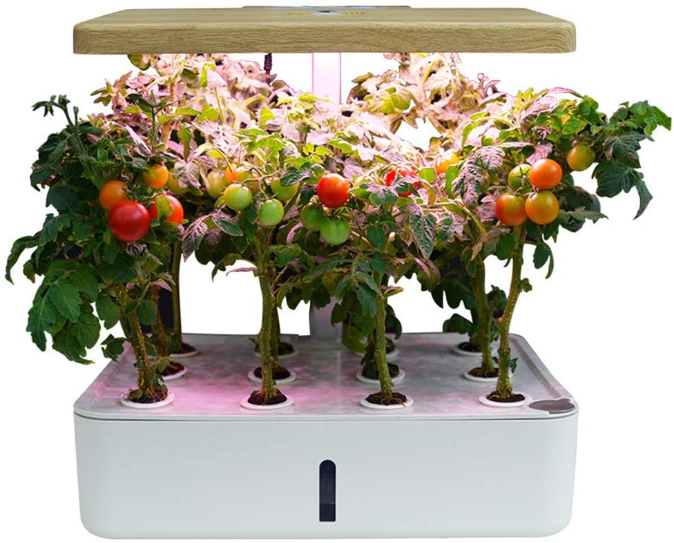 XiR Hydroponics Growing Gardening System Starter Kit